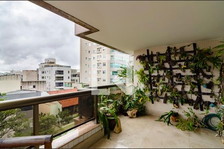 Apartamento à venda com 4 quartos, 372m² em Castelo, Belo Horizonte