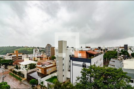 Apartamento à venda com 4 quartos, 372m² em Castelo, Belo Horizonte