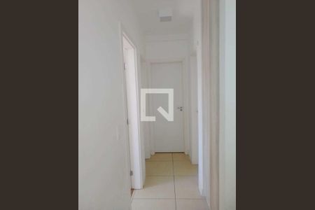 Apartamento para alugar com 3 quartos, 70m² em Havaí, Belo Horizonte