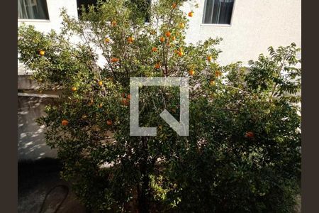 Casa à venda com 3 quartos, 280m² em Linda Vista, Contagem