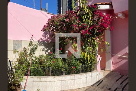 Casa à venda com 4 quartos, 240m² em Cambuci, São Paulo