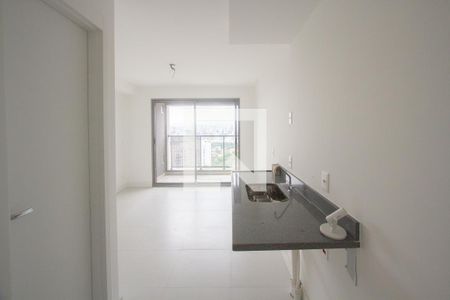 Cozinha de apartamento para alugar com 1 quarto, 25m² em Santo Amaro, São Paulo