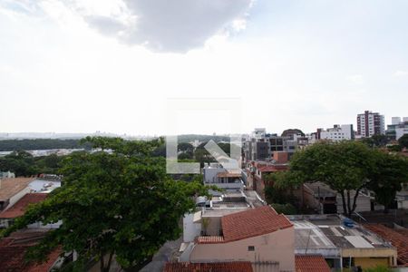 Vista da Varanda da Sala 1 de apartamento à venda com 4 quartos, 266m² em Indaiá, Belo Horizonte