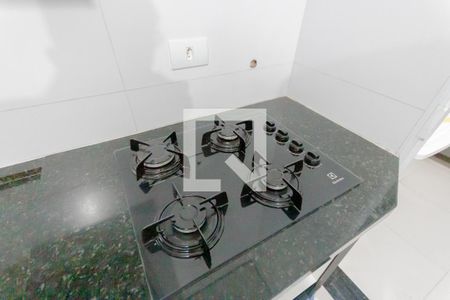 Cooktop de apartamento para alugar com 2 quartos, 54m² em Parque Oratório, Santo André