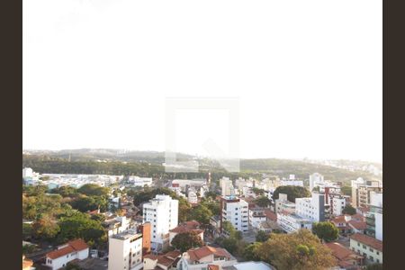 Apartamento à venda com 1 quarto, 25m² em Indaiá, Belo Horizonte