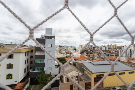 Vista da Varanda da Sala de apartamento para alugar com 3 quartos, 105m² em Renascença, Belo Horizonte