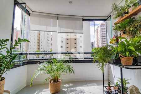 Varanda da Sala de apartamento à venda com 2 quartos, 78m² em Vila Mascote, São Paulo