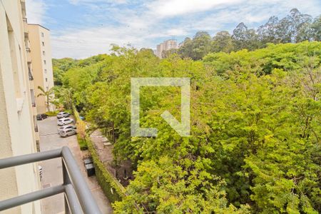 Vista de apartamento para alugar com 3 quartos, 67m² em City América, São Paulo