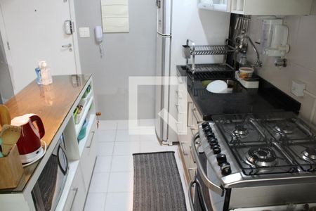 Cozinha - Armários de apartamento à venda com 2 quartos, 52m² em Bela Aliança, São Paulo