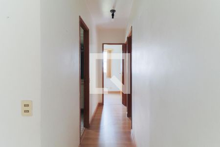 Corredor de apartamento para alugar com 3 quartos, 65m² em Vila Butantã, São Paulo