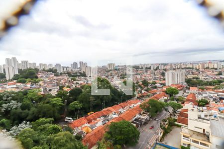 Vista da Varanda da Sala de apartamento para alugar com 2 quartos, 70m² em Super Quadra Morumbi, São Paulo