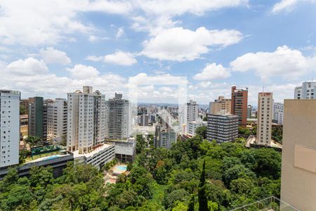 Vista da Varanda da Sala de apartamento para alugar com 4 quartos, 130m² em Sion, Belo Horizonte