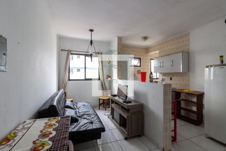 Sala de apartamento para alugar com 1 quarto, 25m² em Nova Mirim, Praia Grande