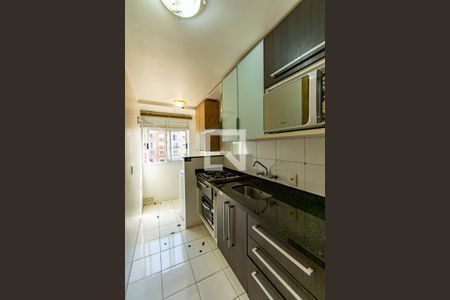 Cozinha de apartamento para alugar com 1 quarto, 70m² em Igara, Canoas