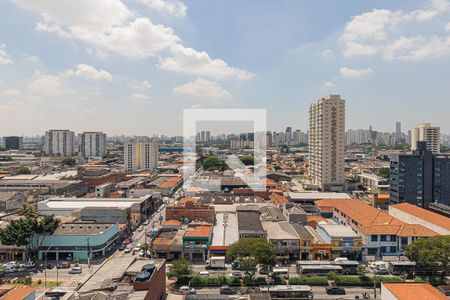 Vista da Varanda da Sala de apartamento para alugar com 3 quartos, 80m² em Vila Maria, São Paulo