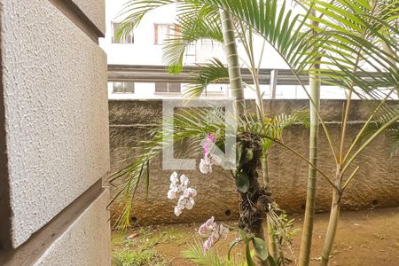 Vista da Sala de apartamento para alugar com 2 quartos, 44m² em Centro, Guarulhos