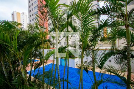 Vista do quarto 1 de apartamento para alugar com 2 quartos, 90m² em Vila Gilda, Santo André