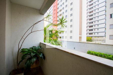 Varanda da sala de apartamento para alugar com 2 quartos, 90m² em Vila Gilda, Santo André