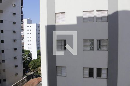 Vista do Quarto 2 de apartamento à venda com 3 quartos, 95m² em Cambuí, Campinas