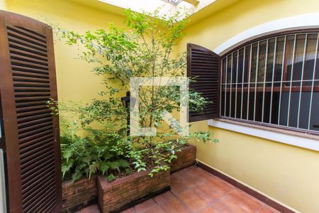 Jardim de Inverno de casa para alugar com 4 quartos, 145m² em Vila Guilherme, São Paulo