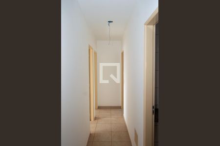 Corredor de apartamento para alugar com 3 quartos, 78m² em Parque Flamboyant, Goiânia