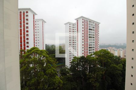 Apartamento à venda com 117m², 3 quartos e 3 vagas Apartamento à venda com 117m², 3 quartos e 3 vagasVista da Suíte 3