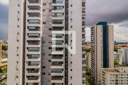 Vista do quarto de apartamento para alugar com 1 quarto, 29m² em Vila Santa Catarina, São Paulo