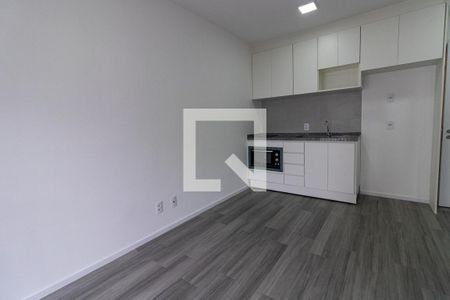 Sala/Cozinha de apartamento para alugar com 1 quarto, 29m² em Vila Santa Catarina, São Paulo