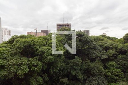 Vista - Parque Trianon de kitnet/studio para alugar com 1 quarto, 28m² em Bela Vista, São Paulo