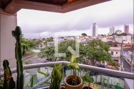 Varanda de apartamento para alugar com 3 quartos, 84m² em Vila das Mercês, São Paulo