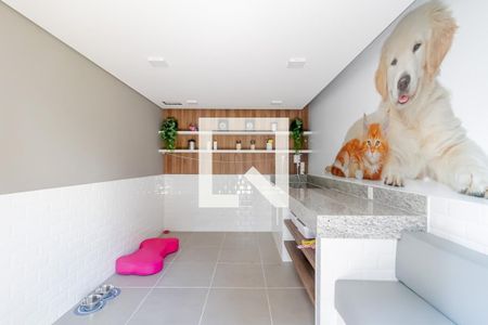 Pet care de apartamento para alugar com 1 quarto, 29m² em Jardim da Glória, São Paulo