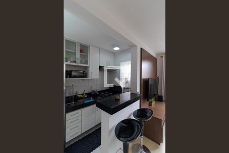 Cozinha de apartamento à venda com 2 quartos, 47m² em Vila Trinta E Um de Março, Campinas