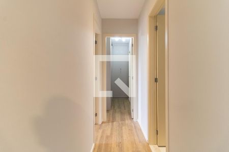 Corredor de apartamento para alugar com 2 quartos, 55m² em Vila Moinho Velho, São Paulo