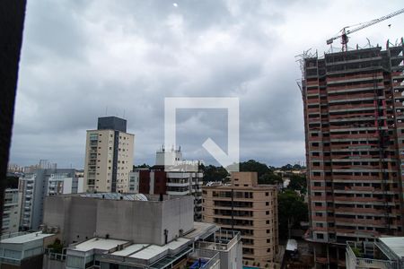 Vista do Studio de kitnet/studio para alugar com 1 quarto, 29m² em Vila Santa Catarina, São Paulo