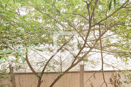 Vista do Quarto 1 de apartamento para alugar com 2 quartos, 46m² em Água Chata, Guarulhos