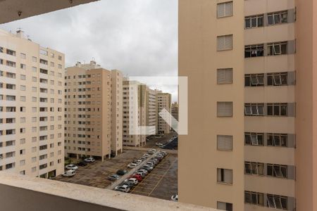 Sacada da Sala de apartamento para alugar com 3 quartos, 67m² em Jardim Dom Vieira, Campinas