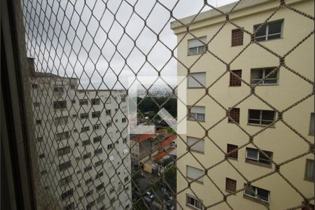 Sala - Vista de apartamento para alugar com 1 quarto, 45m² em Cambuci, São Paulo