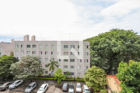 Vista - Quarto 1 de apartamento para alugar com 2 quartos, 52m² em Lauzane Paulista, São Paulo