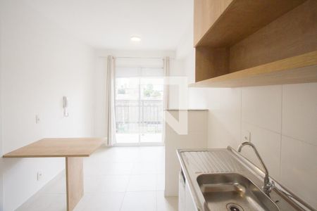 Cozinha de apartamento para alugar com 1 quarto, 26m² em Jardim Caravelas, São Paulo