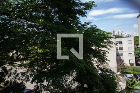 Vista Quarto 1 de apartamento para alugar com 2 quartos, 53m² em Jardim Felicidade (zona Oeste), São Paulo