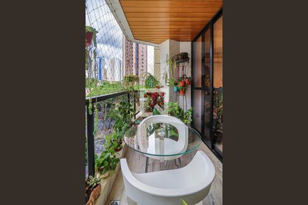 Varanda da Sala de Estar de apartamento à venda com 3 quartos, 150m² em Funcionários, Belo Horizonte