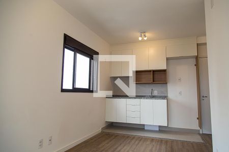 Studio de kitnet/studio para alugar com 1 quarto, 29m² em Jardim Marajoara, São Paulo