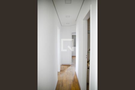 Corredor de apartamento para alugar com 3 quartos, 66m² em Jardim Maria Estela, São Paulo