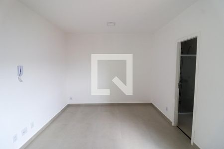 Sala/Quarto de apartamento para alugar com 0 quarto, 26m² em Vila Formosa, São Paulo