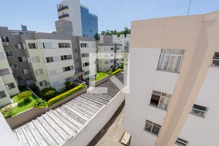 Vista de apartamento para alugar com 2 quartos, 58m² em Saco dos Limões, Florianópolis