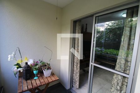 Sala - Varanda de apartamento para alugar com 3 quartos, 70m² em Vila Amélia, São Paulo