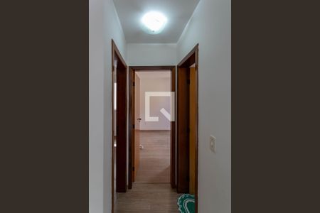 Corredor de apartamento para alugar com 2 quartos, 78m² em Santa Branca, Belo Horizonte