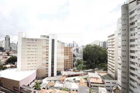 Vista de apartamento à venda com 2 quartos, 115m² em Vila Mariana, São Paulo