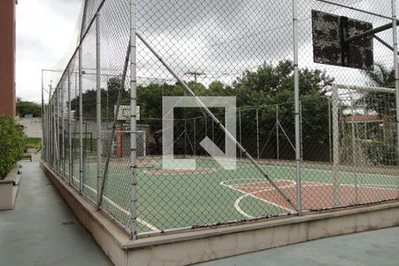 Quadra Esportiva de apartamento para alugar com 2 quartos, 48m² em Vila Satúrnia, Campinas