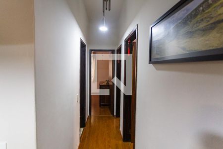 Corredor de apartamento à venda com 3 quartos, 95m² em Santo Antônio, Belo Horizonte